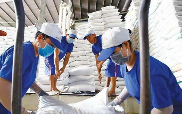 Destinarán más de cinco mil toneladas de arroz a ocho localidades vietnamitas