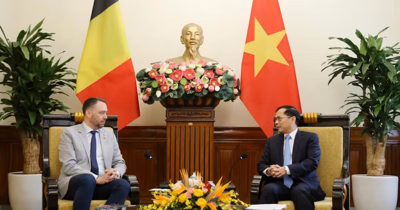 El vicepremier y canciller de Vietnam, Bui Thanh Son (derecha), se reúne con el vicepremier y ministro de Asuntos Exteriores, Asuntos Europeos y Cooperación al Desarrollo de Bélgica, Maxime Prevot (Fuente: VNA)