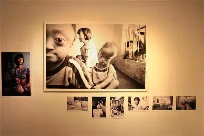 La exposición fotográfica de Roland Schmid sobre las víctimas de la dioxina/AN en Zúrich, Suiza (Foto: VNA)