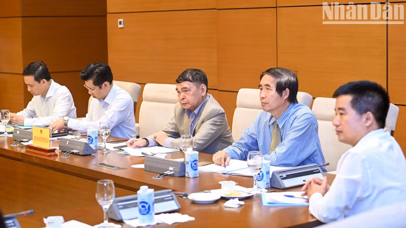 Los expertos y científicos en la reunión.