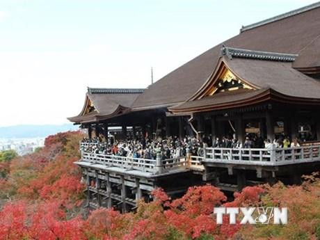 Turistas en Japón. (Fotografía: VNA)