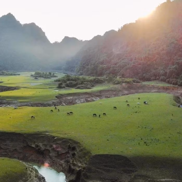 Al visitar Dong Lam, el picnic es una actividad indispensable.