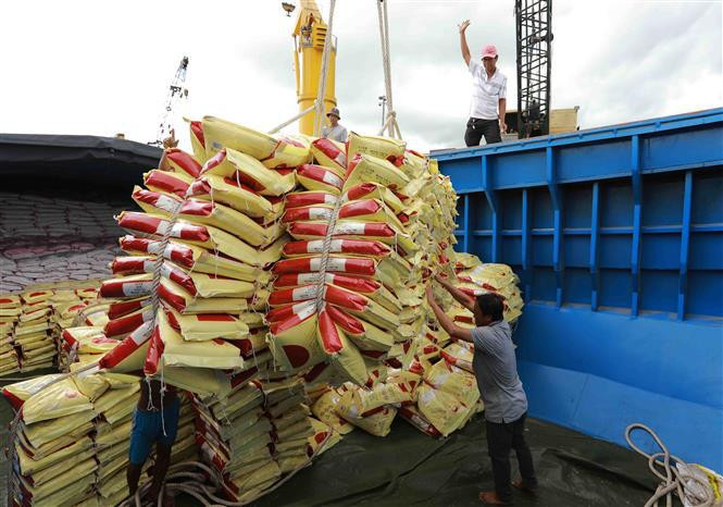 Vietnam es un proveedor de arroz de buena calidad para Indonesia. (Fotografía: VNA)