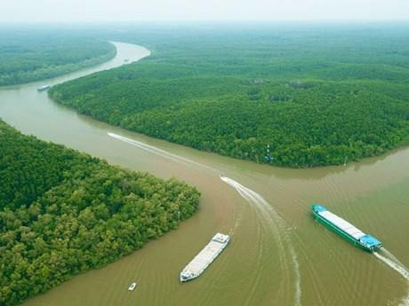 Planean convertir a Can Gio en ciudad de ecoturismo. (Fotografía: thanhnien.vn)