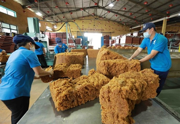 En una fábrica de caucho en la provincia sureña de Binh Phuoc. (Fotografía: VNA)