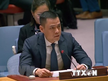 El embajador Dang Hoang Giang, jefe de la misión vietnamita ante la Organización de Naciones Unidas. (Fotografía: VNA)