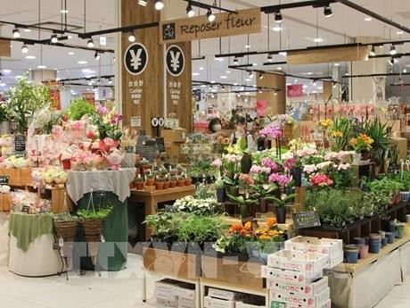 Productos vietnamitas en un supermercado en Japón (Fotografía: VNA)