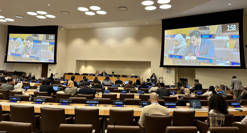 Panorama de la cita. (Fotografía: VNA)