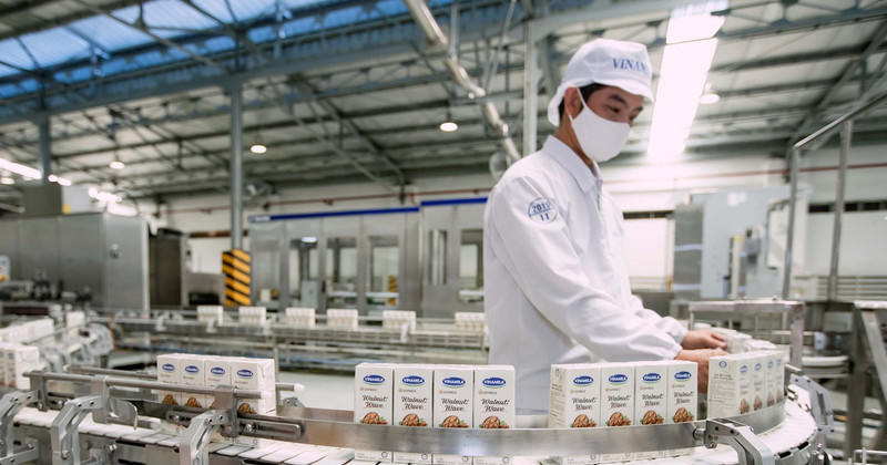 La producción de leche de Vinamilk. (Fotografía: VNA)