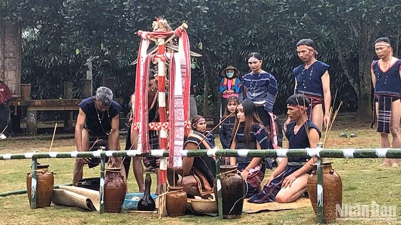 Presentan en Hanói gastronomía étnica.