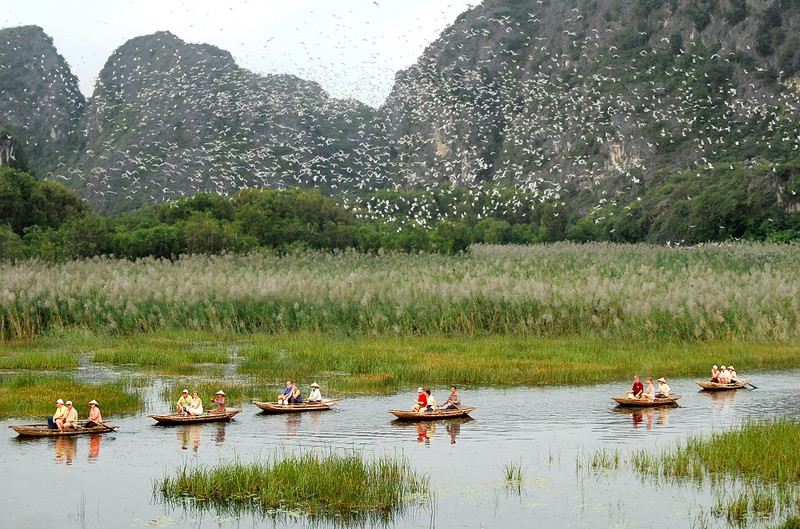 Una vista de la Reserva Natural de Humedal Van Long. (Fotografía: Departamento turístico de Ninh Binh)