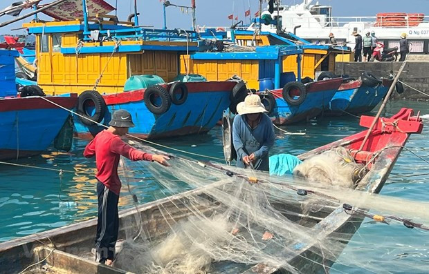 La provincia de Tien Giang insta a controlar los buques en los puertos y estaciones fronterizas. (Fotografía: VNA)