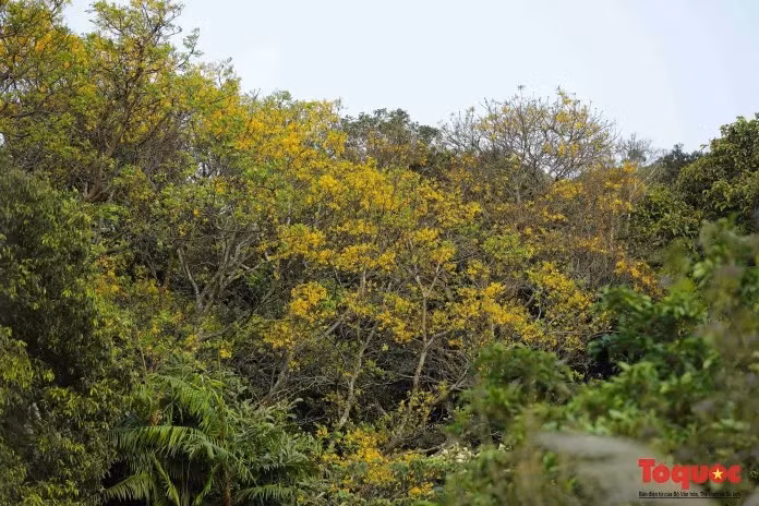 Foto de ilustración. (Fotografía: toquoc.vn)