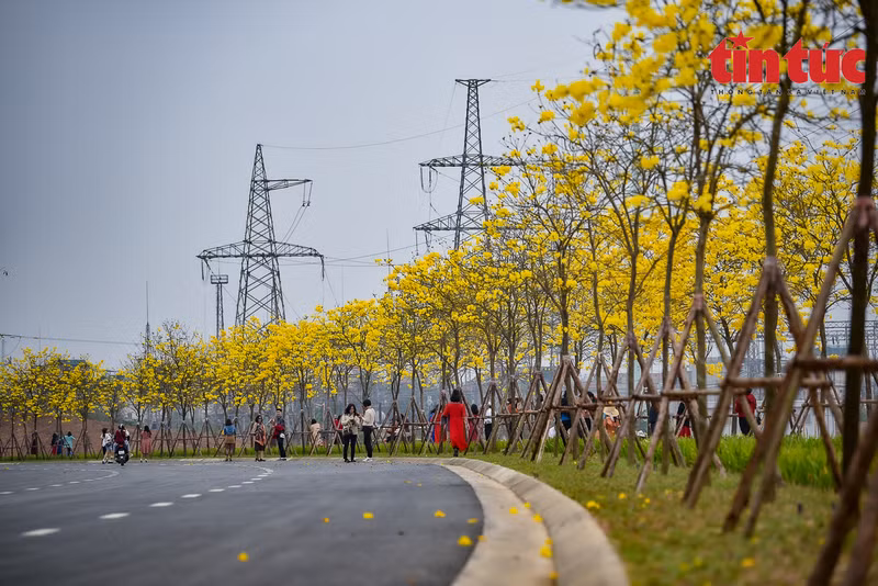 Los jóvenes disfrutan de las hermosas flores.