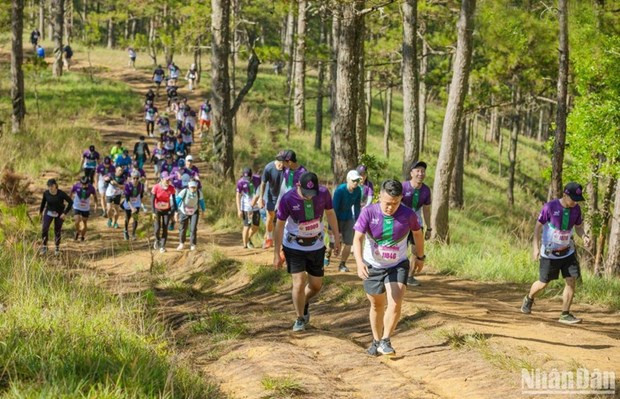 Efectuarán maratón internacional en ciudad de Da Lat. (Fotografía: nhandan.vn)