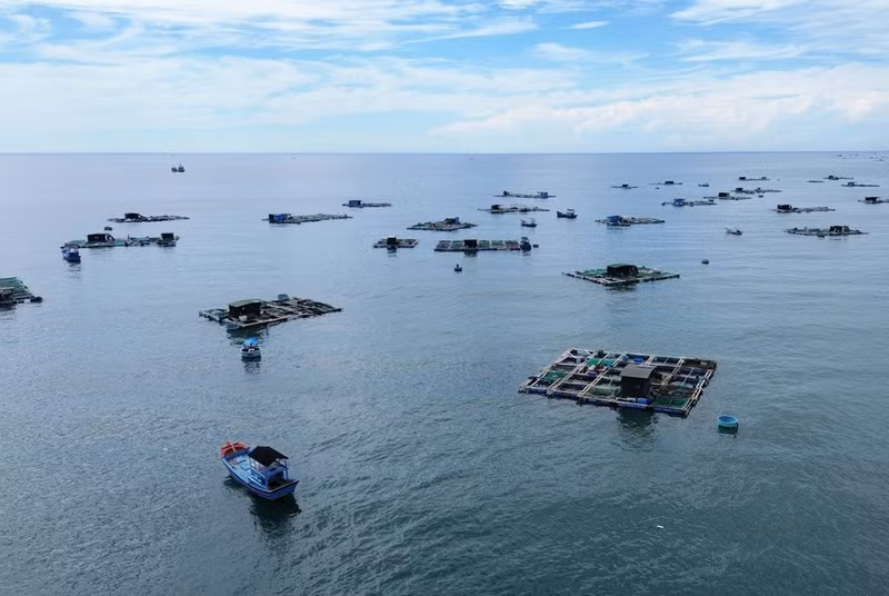 Modelo de cultivo de mariscos en jaulas en Ninh Thuan.