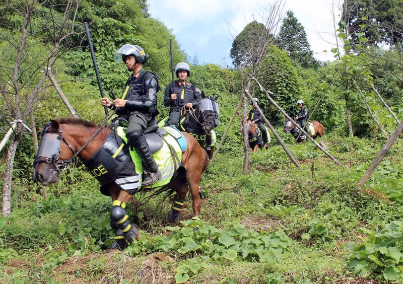Además de la capacidad de lucha, los caballos también tienen la capacidad de soportar grandes cargas, dureza, resistencia y movimiento estable, lo cual ayuda a las fuerzas policiales a patrullar y controlar áreas con terreno difícil donde los vehículos motorizados se no pueden utilizar.