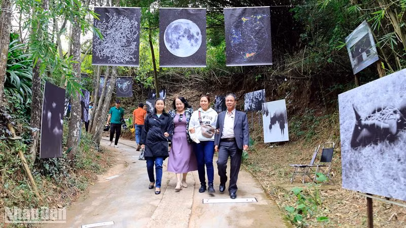 Inauguran en Da Lat proyecto Calle Bienal.