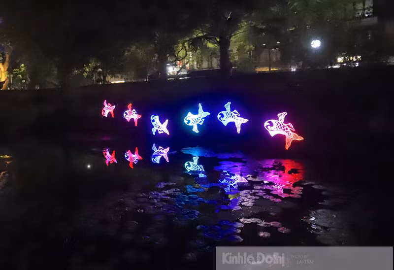 Imagen de un banco de peces en la zona Thanh Dat.