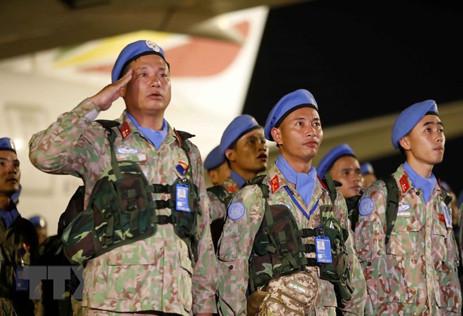 Cacos azules vietnamitas. (Fotografía: VNA)