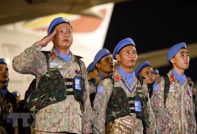 Cacos azules vietnamitas. (Fotografía: VNA)