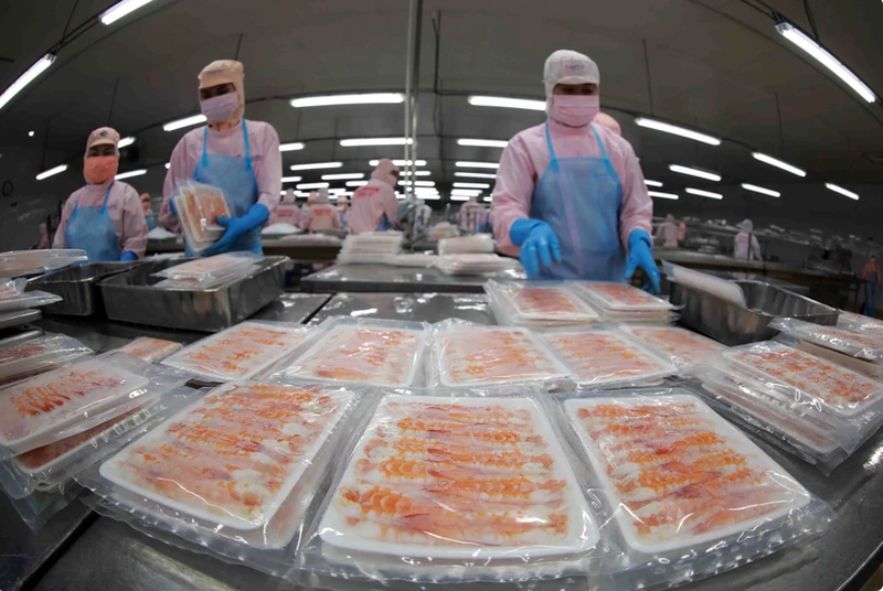 Productos congelados de la empresa Minh Phu. (Fotografía: VNA)