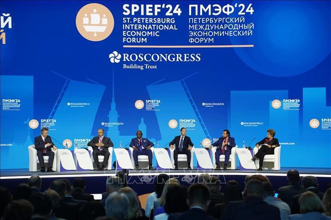 Panorama del 27º Foro Económico Internacional de San Petersburgo. (Fotografía: VNA)