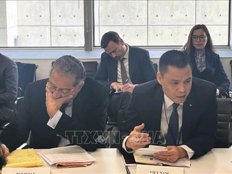 El embajador Dang Hoang Giang, jefe de la misión permanente de Vietnam ante las Naciones Unidas, habla en la sesión de diálogo. (Fotografía: VNA)