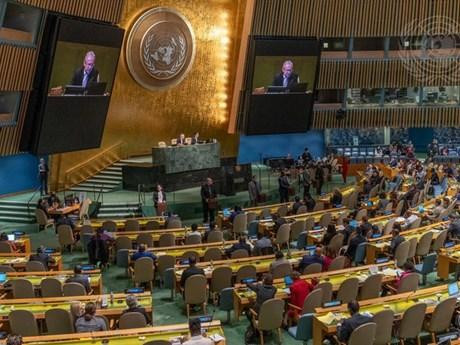 Vietnam contribuirá más como miembro del Consejo de Derechos Humanos de la ONU (Fotografía: VNA)