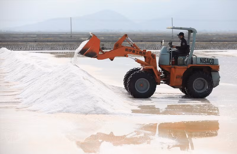 Trabajan por poner sal en camiones para transportarla al consumo.