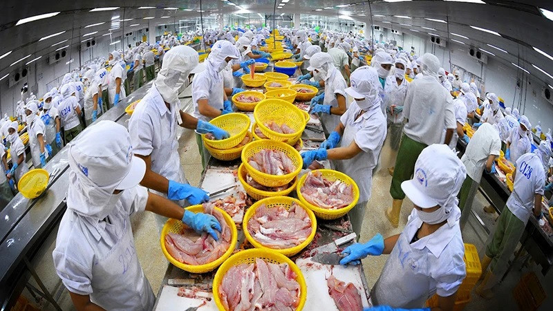 Los bienes acuáticos son uno de los productos fuertes de Vietnam en el mercado del CPTPP. (Fotografía: VNA)