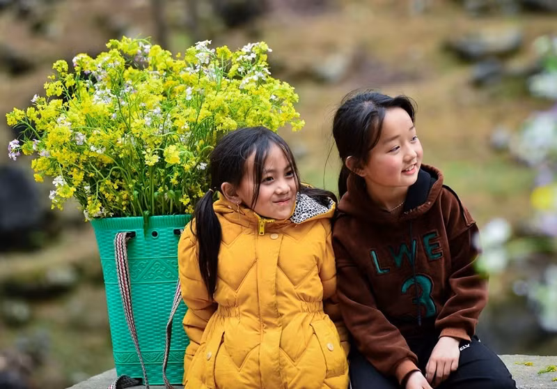 Niñas con cesta de flores amarillas de mostaza. Niñas con cesta de flores amarillas de mostaza.