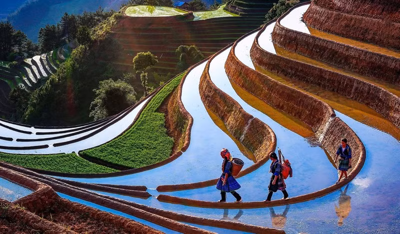 Las terrazas de arroz en Mu Cang Chai (reliquia nacional especial), provincia norteña de Yen Bai, clasificaron en la lista de los 20 destinos más atractivos del mundo y en el top 50 lugares más hermosos del planeta en 2020.
