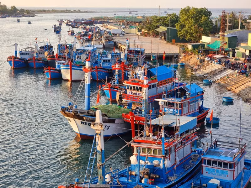 Foto de ilustración. (Fotografía: VNA)