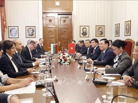 En la reunión entre el presidente de la Asamblea Nacional, Vuong Dinh Hue, y el presidente búlgaro, Rumen Radev, el 25 de septiembre en Sofía. (Fotografía: VNA)