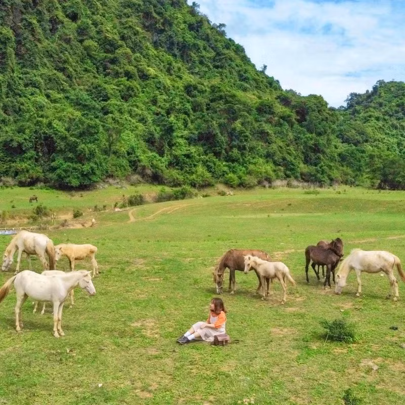 El salvaje paisaje enamora a los turistas.