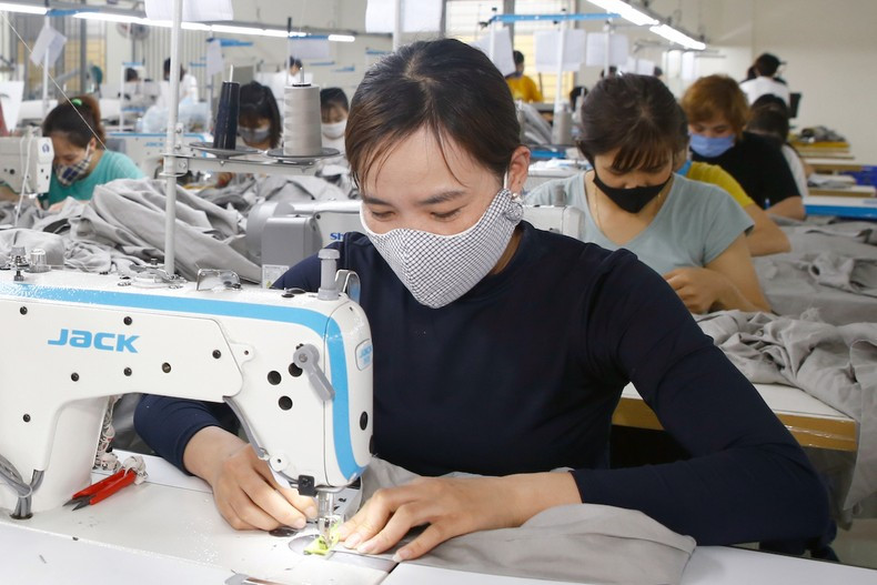 Aprueba en provincia de Nam Dinh gran proyecto textil.