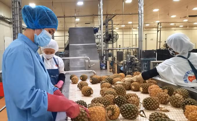 Foto de ilustración. (Fotografía: nongnghiep.vn)