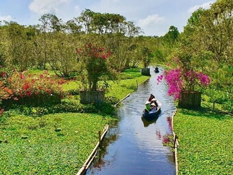 Bosque de melaleuca Tra Su en el distrito de Tinh Bien. (Fotografía: VNA)