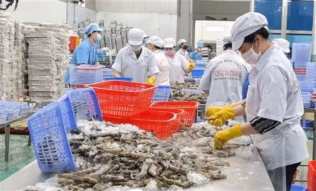 Foto ilustrativa. (Foto: VNA)