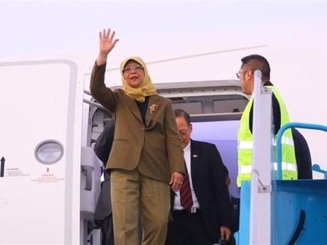La presidenta de Singapur, Halimah Yacob, inicia visita a Vietnam. (Fotografía: VNA)