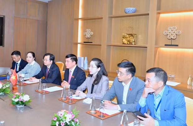 Representantes vietnamitas en la reunión. (Foto: VNA)