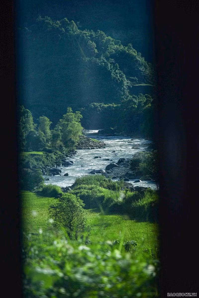 Un arroyo fluye apaciblemente por el frondoso bosque. (Fotografía: baoquocte.vn)