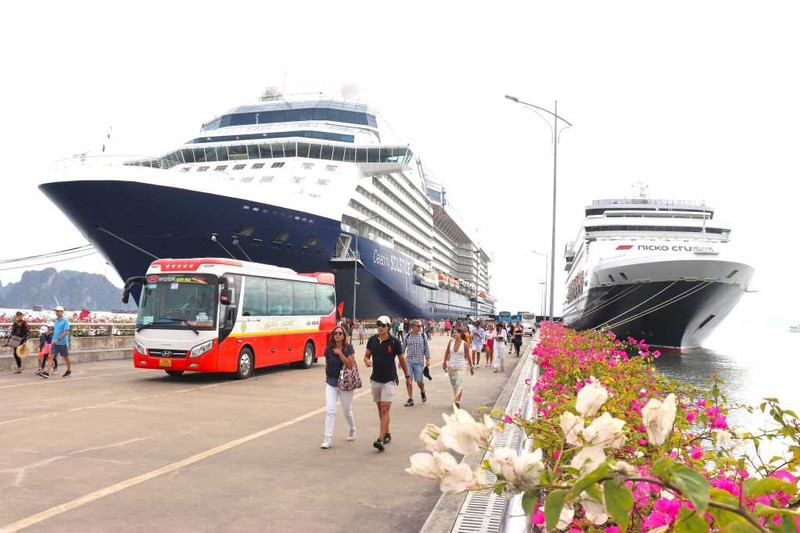 Los turistas de crucero en Ha Long. (Foto: quangninh.gov.vn)