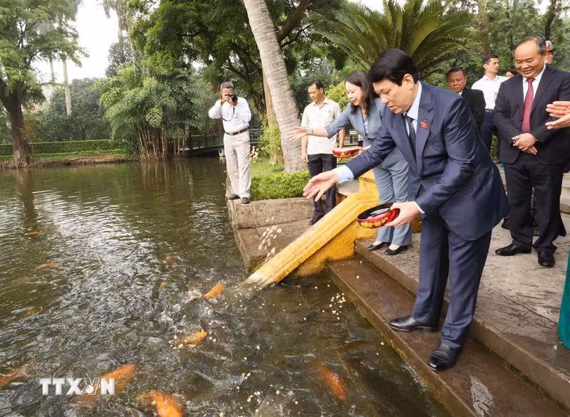 El presidente Luong Cuong visita el estanque de peces del tío Ho en la zona de reliquias dedicada al líder de Revolución vietnamita en el Palacio Presidencial. (Foto: VNA)