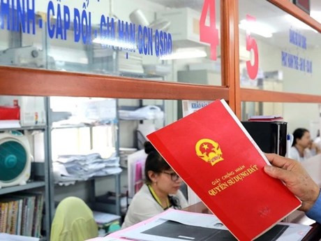 Foto de ilustración (Foto: laodong.vn)