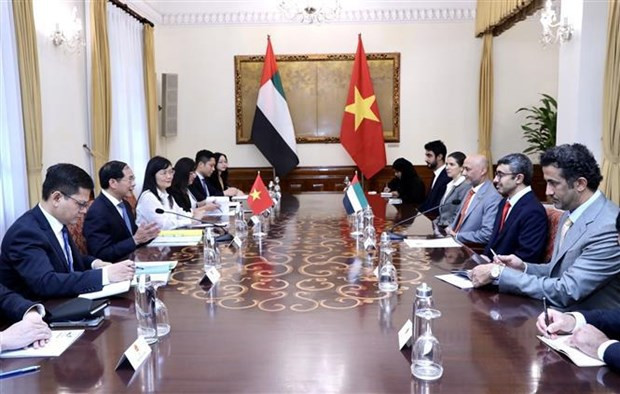 Panorama de la reunión. (Foto: VNA)