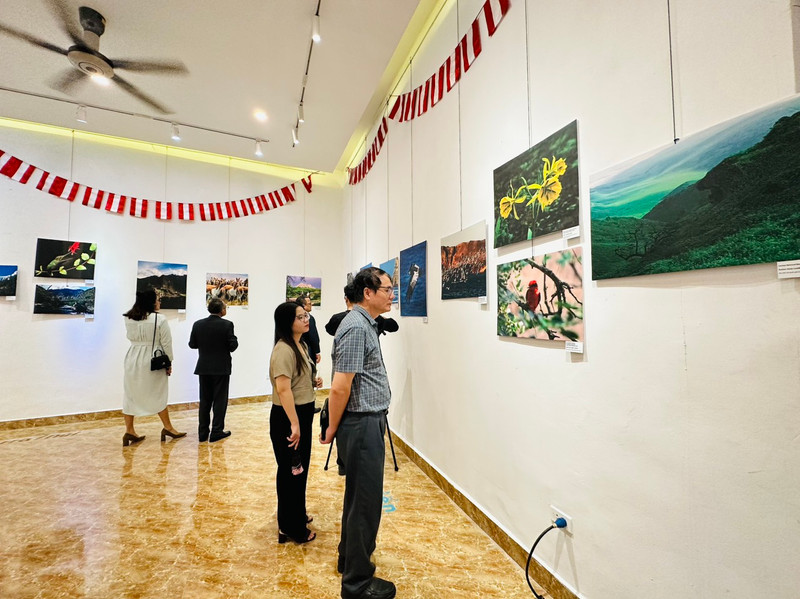 En la exposición.