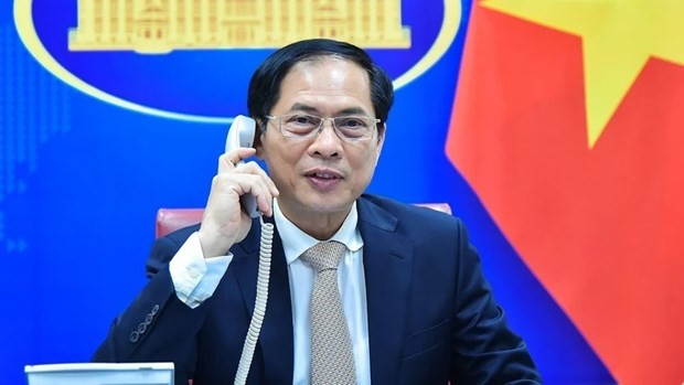 El ministro de Relaciones Exteriores de Vietnam, Bui Thanh Son. (Foto: VNA)