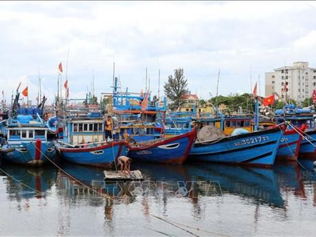 Los pobladores aseguran sus barcos para evitar los daños provocados por el tifón Noru. (Fotografía: VNA)